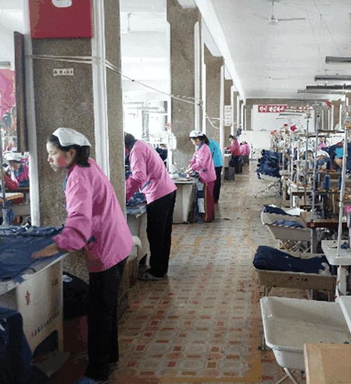 朝鮮工廠女工的自述 以奉獻為美，以集體為家
